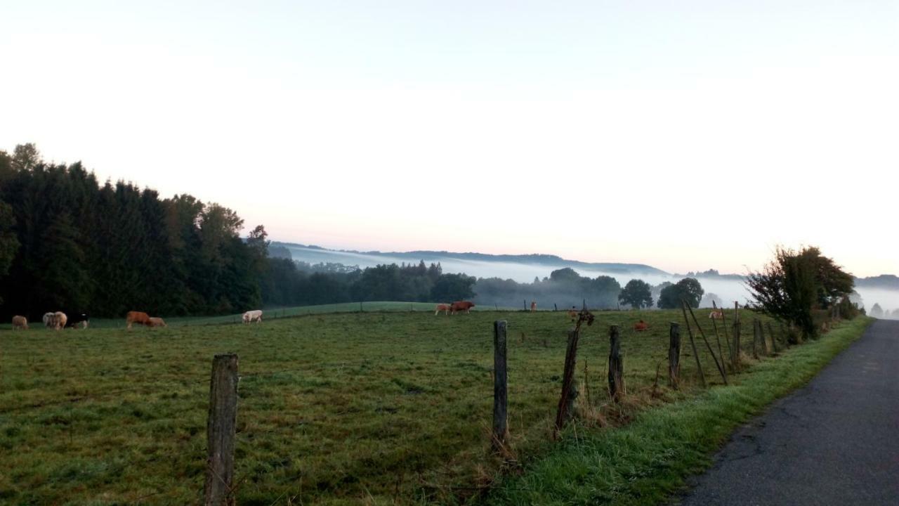 La Croisee Des Champs, Gite Entre Durbuy Et La Roche En Ardenne Erezee ภายนอก รูปภาพ